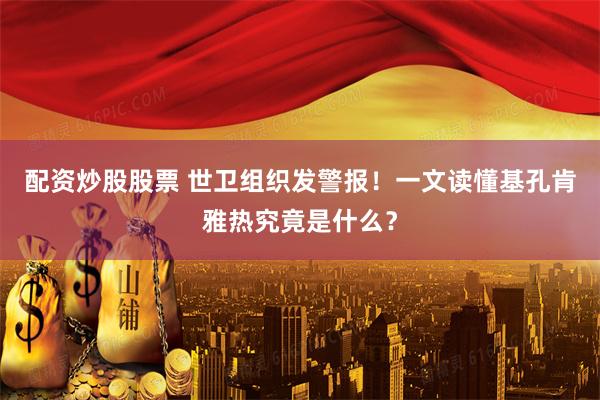配资炒股股票 世卫组织发警报！一文读懂基孔肯雅热究竟是什么？
